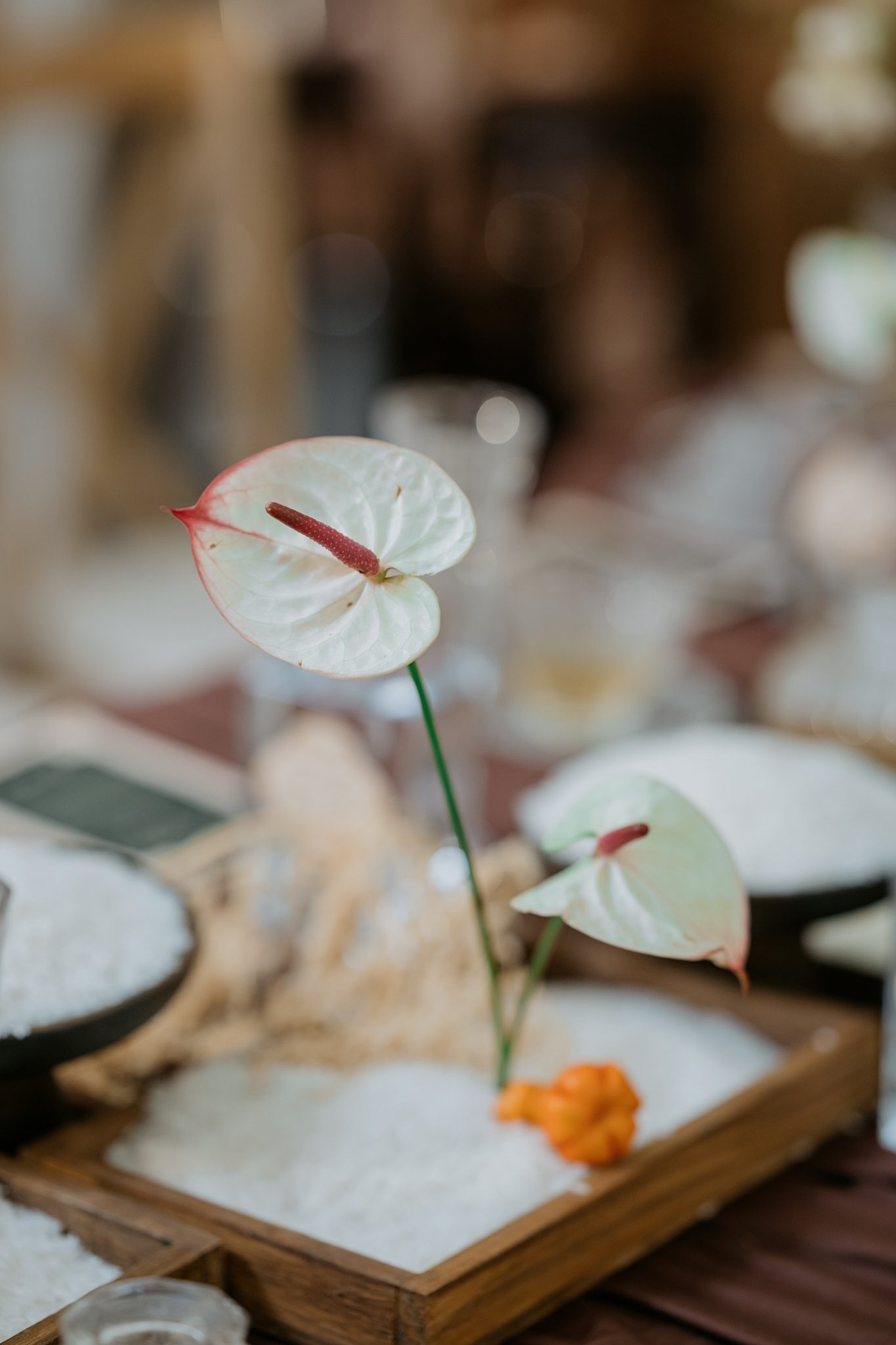 TRÚC MAI & ANH HÀO — ảnh 51